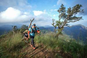 BIB: 
                            <button type="button" onclick="openModal(22373611)" class="btn btn-primary btn-sm float-right btn-popup" data-toggle="modal" data-target=".modal-high-quality">
                        <i class="fas fa-shopping-cart"></i> Add to Cart
                    </button>
                                            <button type="button" onclick="isThisMe(22373611, true)" class="btn btn-success btn-sm float-right btn-popup btn-isme hidden" data-toggle="tooltip" data-placement="bottom" title="นี่คือรูปของคุณใช่ไหม คลิกที่นี่เพื่อเอาเข้าอัลบั้ม">
                        <i class="fas fa-plus"></i> Add to album
                    </button>
                    <button type="button" onclick="isThisMe(22373611, false)" class="btn btn-warning btn-sm float-right btn-popup btn-isnotme hidden">
                        <i class="fas fa-ban"></i> Remove from album
                    </button>